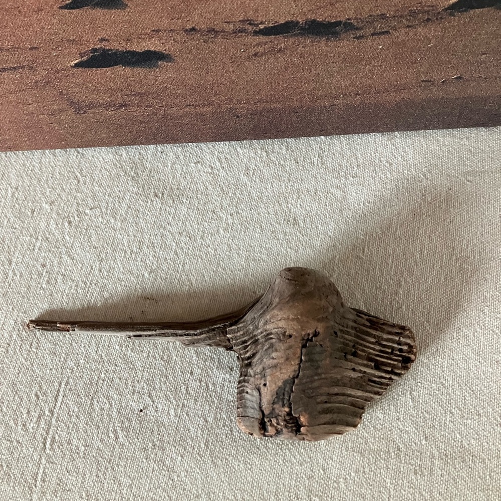 ‘Battle Star Galactica’ Driftwood